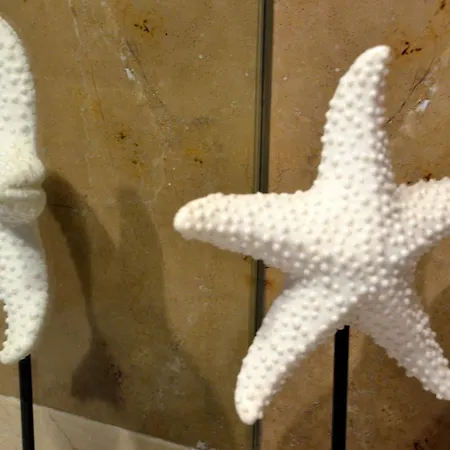 Bed & Breakfast Shiado Suites Lisboa